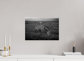 45 x 30 cm, Photo Print Under Acrylic Glass Striped II