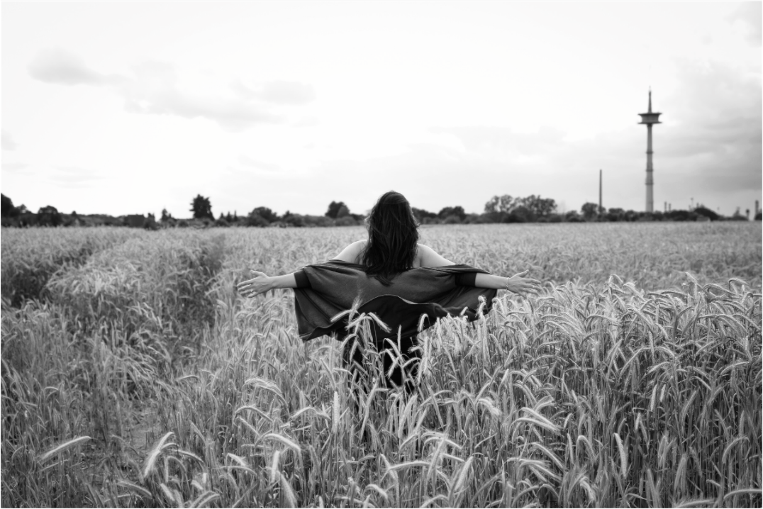 Main image Facing Wind