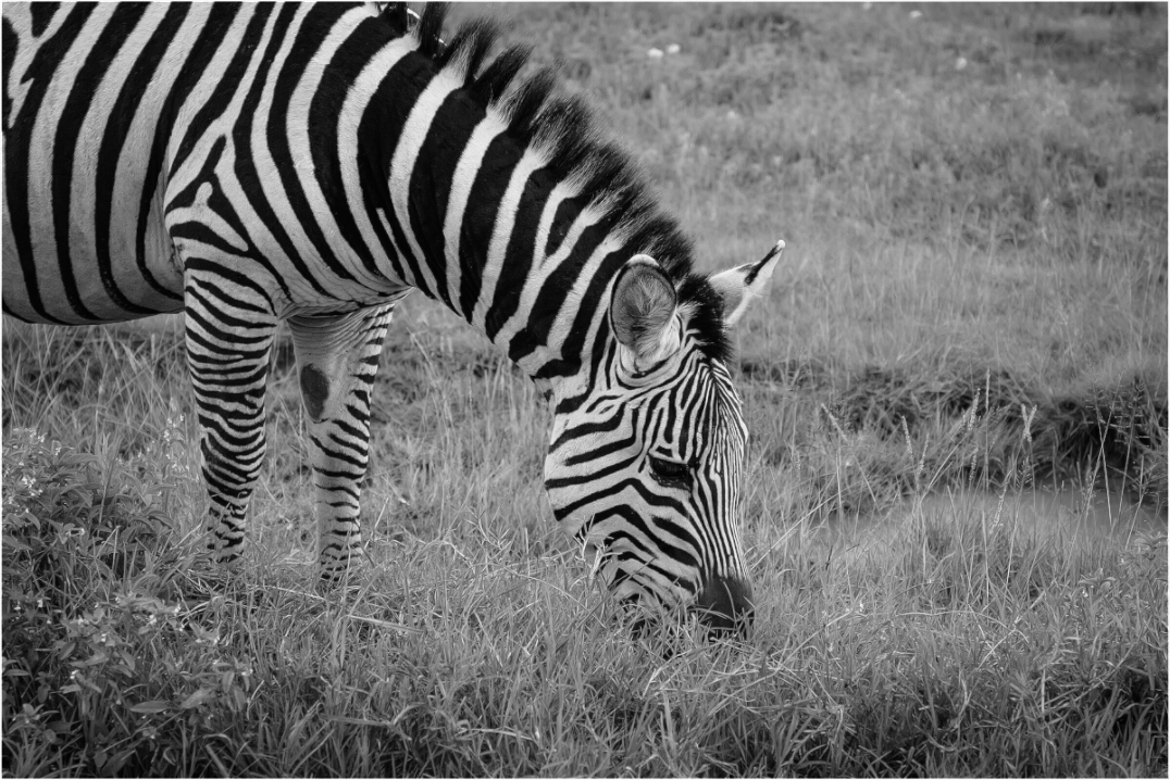 Main image Striped I